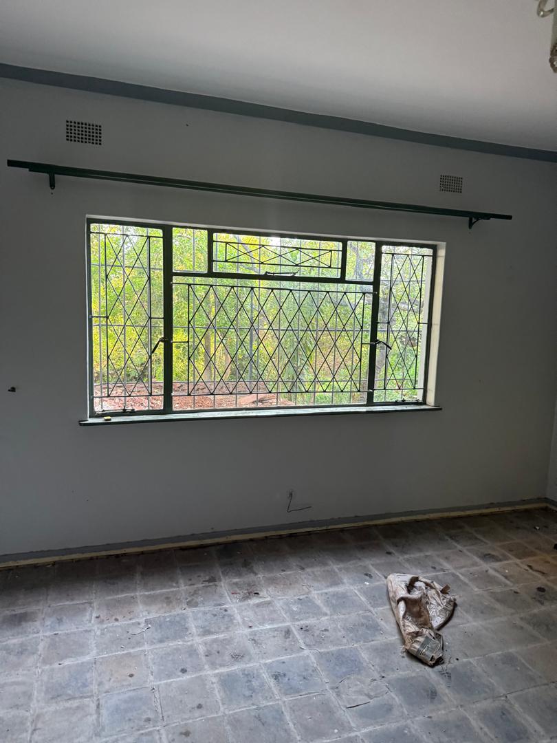 Gallery image 47
